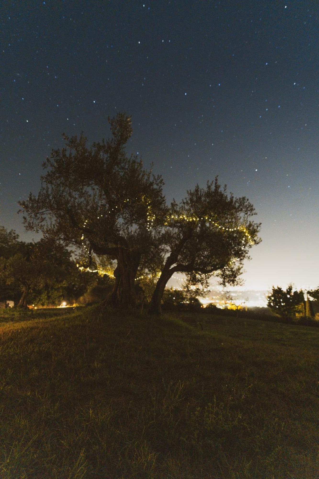 Agriturismo San Felicissimo เปรูจา ภายนอก รูปภาพ