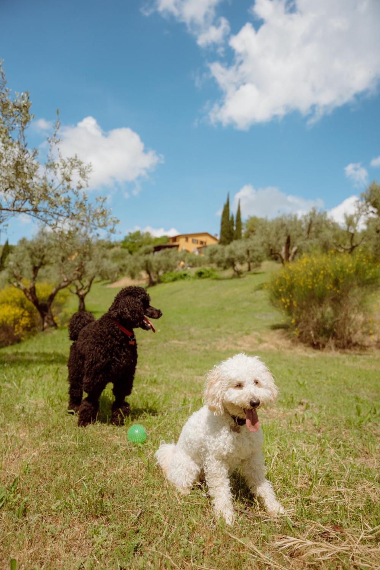 Agriturismo San Felicissimo เปรูจา ภายนอก รูปภาพ